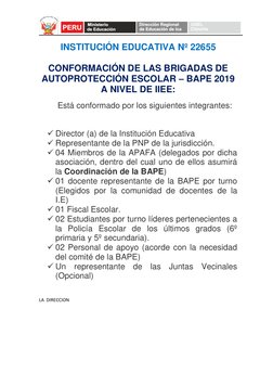 INSTITUCIÓN EDUCATIVA Nº 22655 
 
CONFORMACIÓN DE LAS BRIGADAS DE 
AUTOPROTECCIÓN ESCOLAR – BAPE 2019 
A NIVEL DE IIEE: