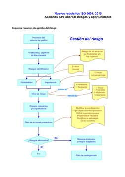 Acciones para Riesgos y Oportunidades ISO 9001 | PDF | Gestión de la ...