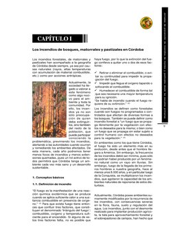 Jornadas de prevención de incendios de montes y pastizales desde las escuelas primarias
9
CAPÍTULO I
Los incendios de bosques