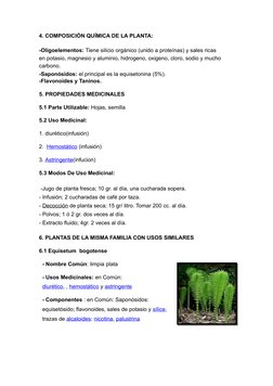 4. COMPOSICIÓN QUÍMICA DE LA PLANTA:
-Oligoelementos: Tiene silicio  (https://es.wikipedia.org/wiki/Silicio)orgánico (unido a