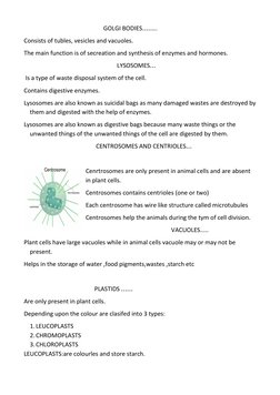 GOLGI BODIES…….. 
Consists of tubles, vesicles and vacuoles. 
The main f