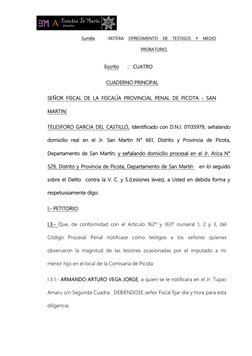 Sumilla          : REITERA 
OFRECIMIENTO 
DE 
TESTIGOS 
Y 
MEDIO 
PROBAT