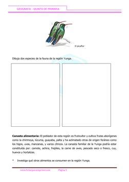 GEOGRAFÍA – QUINTO DE PRIMARIA
El picaflor
Dibuja dos especies de la fauna de la región Yunga.
Canasta alimentaria: El