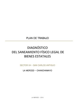 LA MERCED - 2018 
 
 
 
 
 
 
PLAN DE TRABAJO 
 
DIAGNÓSTICO 
 DEL SANEAMIENTO FÍSICO LEGAL DE 
BIENES ESTATALES 
 
SECTOR 04