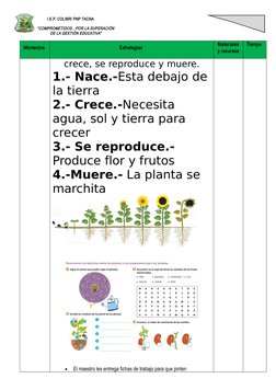 I.E.P. COLIBRI PNP TACNA