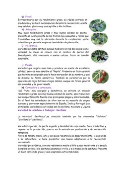 g) Picual. 
Extraordinaria por su rendimiento graso, su rápida entrada en 
producción y su fácil mecanización durante la reco