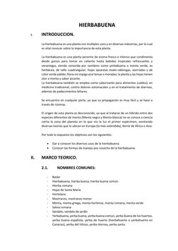 HIERBABUENA 
I. 
INTRODUCCION. 
 
La hierbabuena es una planta con múltiples usos y en diversas industrias, por lo cual 
es v