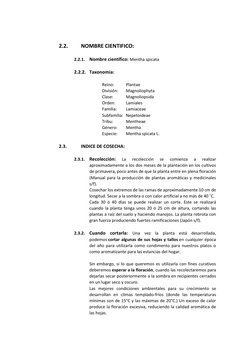 2.2. 
NOMBRE CIENTIFICO: 
 
2.2.1. Nombre científico: Mentha spicata 
 
2.2.2. Taxonomía: 
 
Reino: 
Plantae 
División:
