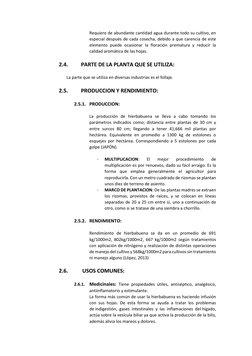 Requiere de abundante cantidad agua durante todo su cultivo, en 
especial después de cada cosecha, debido a que carencia de e
