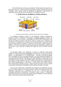 9 
Através da fusão entre o lisossomos primários e bolsas formadas na fagocitose ou 
pinocitose, forma-se o vacúolo diges