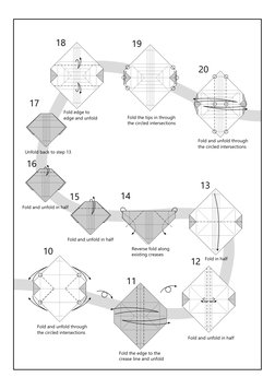 10
11
12
13
14
15
16
17
18
19
20
Fold and unfold through 
the circled intersections
Fold the edge to the 
crease line and unf