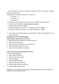 a) Qué modificaciones sufren los siguientes componentes durante la contracción, responde 
utilizando la siguiente clave.