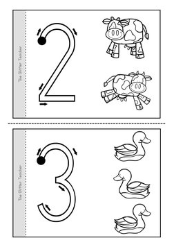 The Glitter Teacher 
The Glitter Teacher 
