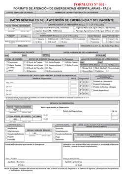 FORMATO DE ATENCIÓN DE EMERGENCIAS HOSPITALARIAS - FAEH
DATOS GENERALES DE LA ATENCIÓN DE EMERGENCIA Y DEL PACIENTE
FORMATO N