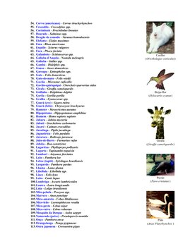 Nomes Científicos de Animais Listados | PDF | Caixa alta e caixa baixa ...