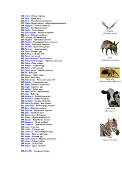 Nomes Científicos de Animais Listados | PDF | Caixa alta e caixa baixa ...