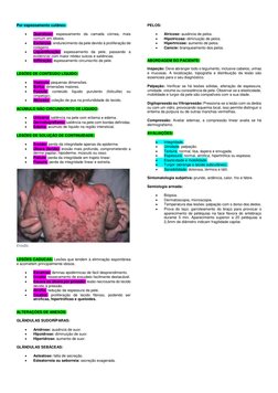 Por espessamento cutâneo:  
 
 
Queratose: espessamento da camada córnea, mais 
comum em idosos.  
 
Esclerose: endurecimen