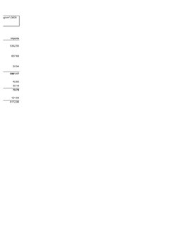 Importe
5352.55
607.68
20.94
5981.17
40.60
30.18
70.78
121.04
6172.99
0 kg/cm² (3000 
