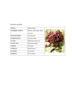 Gyromitra esculenta 
REINO  (http://eol.org/pages/188598/overview)
Reino Fungi 
 
NOMBRE COMUN 
Bonete, mitra muin, b