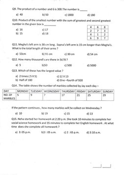 Class 3 Maths Worksheet - DPS Noida | PDF | Teaching Mathematics