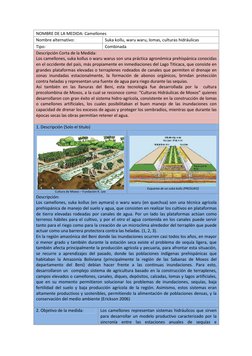 NOMBRE DE LA MEDIDA: Camellones
Nombre alternativo:
Suka kollu, waru waru, lomas, culturas hidráulicas
Tipo:
Combinada
Descri