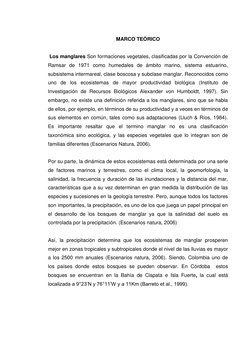 MARCO TEÒRICO 
 
 Los manglares Son formaciones vegetales, clasificadas por la Convención de 
Ramsar de 1971 como hume