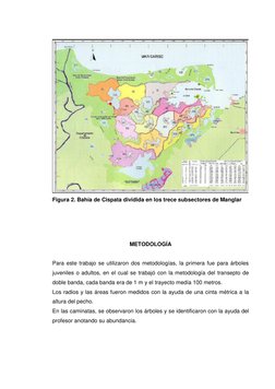 Figura 2. Bahía de Cispata dividida en los trece subsectores de Manglar 
 
 
 
 
METODOLOGÍA 
 
Para este trabajo se