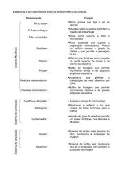 Estabeleça a correspondência entre os componentes e as funções.
Componente
Função
Sistema Mecânico
Pé ou base
Haste  grossa