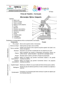 1
2
3
4
5
6
7
8
8
8
9
10
11
12
13
10º Ano
Ficha de Trabalho – Correcção
Microscópio Óptico Composto
Legenda:
6 - Base ou pé
3