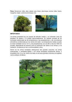 Flora: Zarzamora, roble, aliso, abedul, jara, brezo, alcornoque, encina, halla, fresno, 
margarita, tulipán, anémona de bos