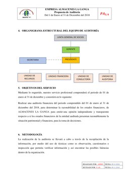 REALIZADO POR:  AMMS 
FECHA: 09-11-2018 
REVISADO POR: P.A.R 
FECHA: 09-11-2018 
 
 
 
4. ORGANIGRAMA ESTRUCTURAL DEL EQUIPO