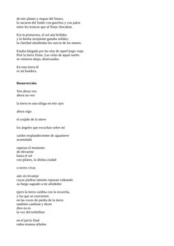 de mis planes y mapas del futuro,
lo sacaron del fondo con ganchos y con palos
entre los troncos que al flotar chocaban.
Era