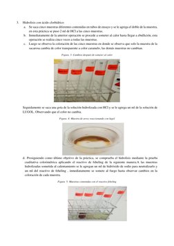 3. 
Hidrolisis con ácido clorhídrico 
a. Se saca cinco muestras diferentes contenidas en tubos de ensayo y se le agrega el do