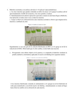 4. Hidrolisis enzimática con amilasa salival(α-(1→4)-glucan-4-glucanohidrolasa) 
a. las cinco muestras que quedan contenidas