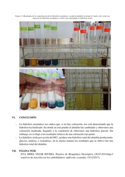 Figura  8: Resultados de la comprobación de la hidrolisis enzimática y acida de almidón en donde el rotulo color verde son 
m
