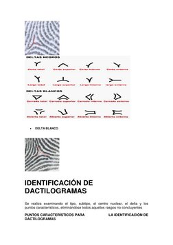  
DELTA BLANCO 
   
 
 
 
IDENTIFICACIÓN DE 
DACTILOGRAMAS 
 
 
Se realiz