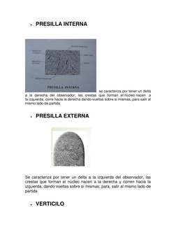  PRESILLA INTERNA 
 
 
 
 
 
 
 
 
 
 
 
 
 
 
 
se caracteriza por tener un delta 
a la derecha del observador; las crestas