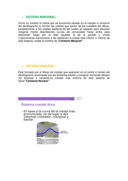  SISTEMA MARGINAL: 
Como su nombre lo indica que se encuentra situado en el margen o contorno 
del dactilograma, lo forman l