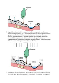 B. Segunda fase: Iniciación de la Precipitación. La Evapotranspiración cesa. Las aguas 
meteóricas son interceptadas por la