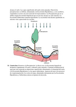 alcanza el suelo. Las capas superficiales del suelo están saturadas. Parte de las 
precipitaciones se infiltran, alimentando