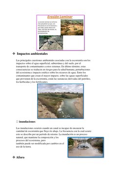   Impactos ambientales 
 
Las principales cuestiones ambientales asociadas con la escorrentía son los 
impactos sobre el a