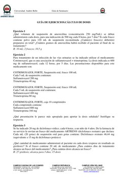 Universidad  Andrés Bello                           Guía de Seminario 
 
CAMPUS CASONA DE LAS CONDES                   CA