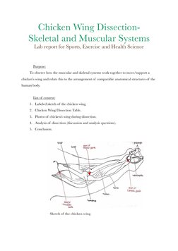 Chicken Wing Lab Report Examples Chicken Wing Dissection Lab Report | PDF | Bone | Cartilage