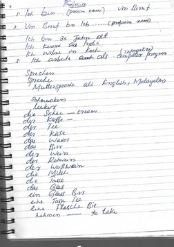 German A1 Study Notes | PDF