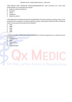 SEGUNDA VUELTA – BANCOS ENAM ESSALUD – CURSO 2019 
 
 
1766) ESSALUD 2003 -CIRUGIA-QX PLASTICA-QUEMADURAS-AG: ¿Qué estructura