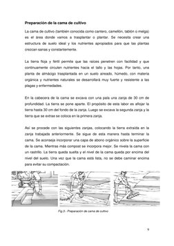 9 
 
Preparación de la cama de cultivo 
La cama de cultivo (también conocida como cantero, camellón, tablón o melga) 
es el á