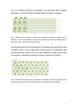 7 
 
luz y los nutrientes. Si están muy alejadas, no se aprovecha todo el espacio 
disponible, y el suelo se puede compactar