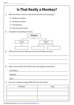 Name :
Printable Worksheets @ www.mathworksheets4kids.com
1)
What would have been an ideal alternative title to the passage?