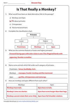 Name :
Printable Worksheets @ www.mathworksheets4kids.com
Answer key
1)
What would have been an ideal alternative title to th