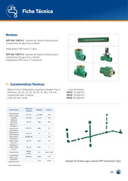 Ficha Técnica
Normas:
NTP ISO 15874-2  Sistemas de Tuberías Plasticas para 
instalaciones de agua fría y caliente.
Polipropil